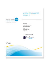 Everything DiSC Work of Leaders® Profile